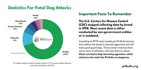 pit bull attack statistics